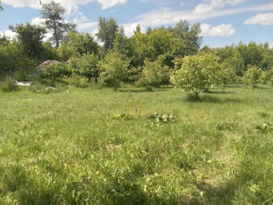 Продам ділянку на березі річки з копанкою 6 соток! Стрижавка