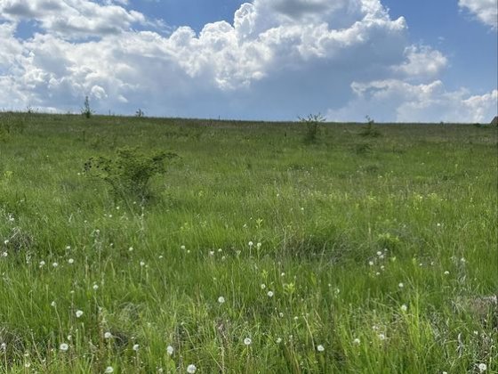 Продаж Ділянки без комісіі агентства Стрижавка