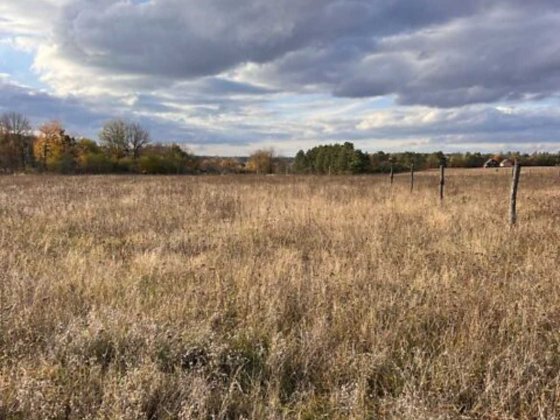 Продаж земельної ділянки під житлову забудову в Стрижавці 7218 Стрижавка