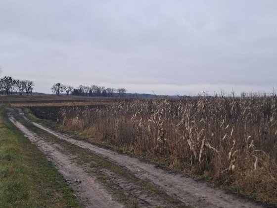 Продам земельну ділянку під житлову забудову в Стрижавці 0962 Стрижавка