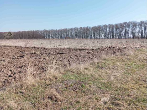 (5) Продам земельну ділянку в Стижавці 8916 Стрижавка