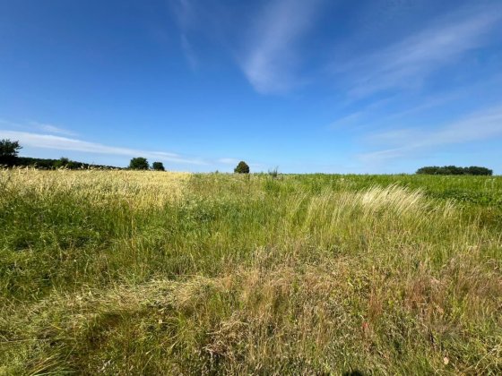 Продаж земельної ділянки 12 соток Стрижавка