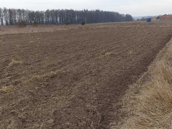 (5)  Продам земельну ділянку в Стрижавці 8916 Стрижавка