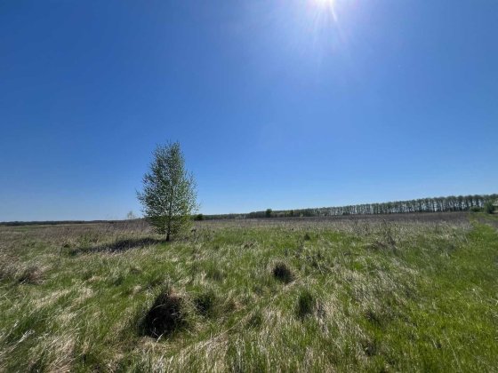 Продаж земельної ділянки в Стрижавці Стрижавка
