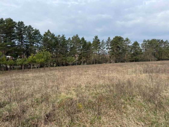 (5) Продам земельну ділянку в Стрижавці 8116 Стрижавка