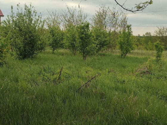 Земельна ділянка Зарванці
