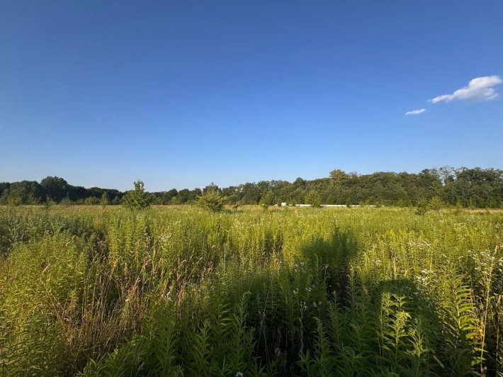 Продаж земельної ділянки Зарванці - фото 1