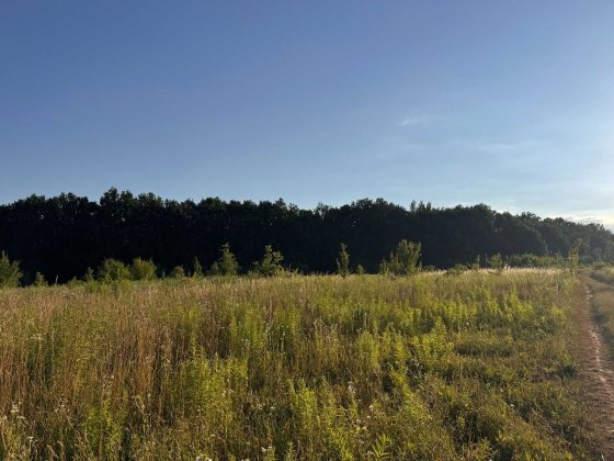 Продаж земельної ділянки в Зарванцях Зарванці