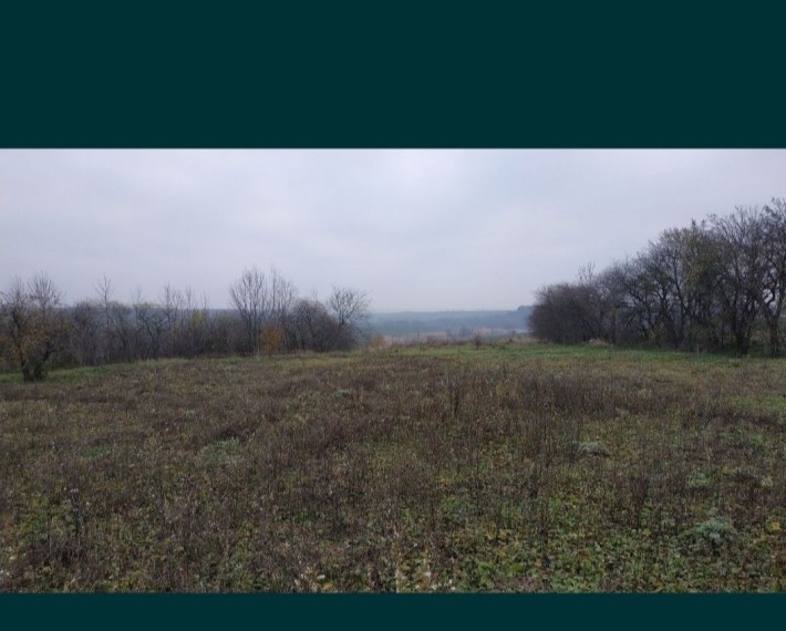 Земельна ділянка - фото 1