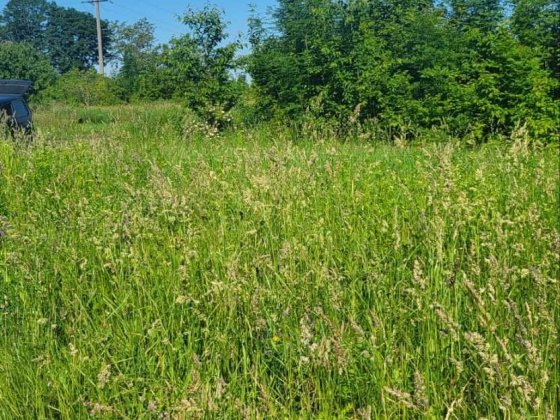 Земельна ділянка в Немирові під житлову забудову Немиров