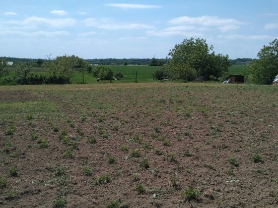 Продається приватизована земельна ділянка площею 0.22га Немиров