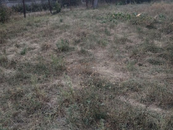 Продам дилянку. Участок..Ривний. Лука-Мелешковская