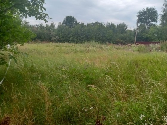 продам земельну ділянку с. Пилява Михайловцы
