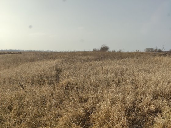 Земельна ділянка Ильинцы