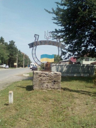 (3) Продам земельну ділянку в с. Якушинці 0345 - фото 1