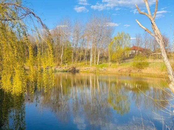 Продаж 2-ох суміжних земельних ділянок в Якушинцях Якушинцы