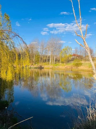 Продаж 2-ох суміжних земельних ділянок в Якушинцях - фото 1