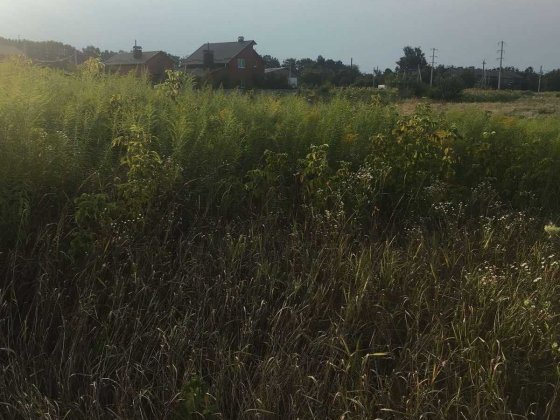(3) Продам земельну ділянку в Якушинцях 0691 Якушинцы