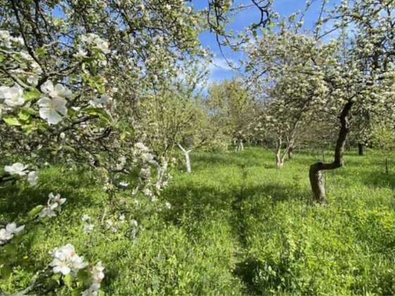 Продаж Землі сЯкушинці 25 соток Якушинцы
