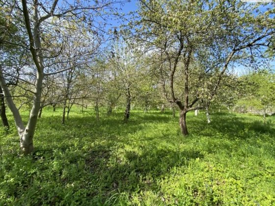 Продаж земельної ділянки Якушинцы