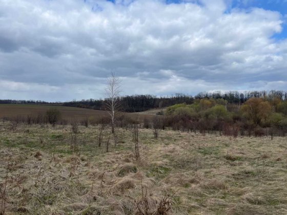 (5) Продам земельну ділянку 12 с в смт. Вороновиця 8116 Вороновица