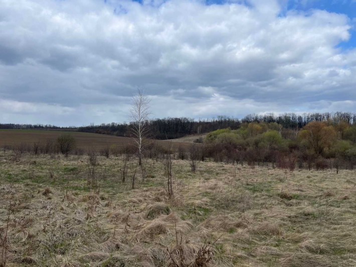 (5) Продам земельну ділянку 12 с в смт. Вороновиця 8116 - фото 1