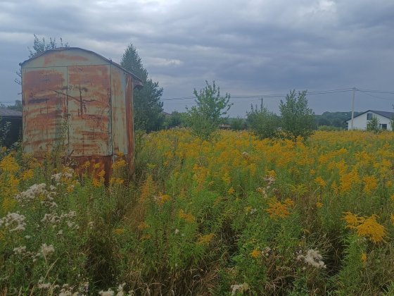 Продаж  землі  15 соток.Якушинці. Якушинцы
