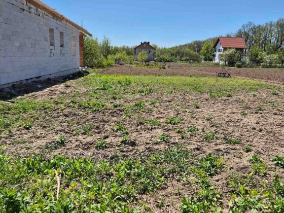 Продам ділянку під житлову забудову в с.Якушинці 5362 Якушинцы