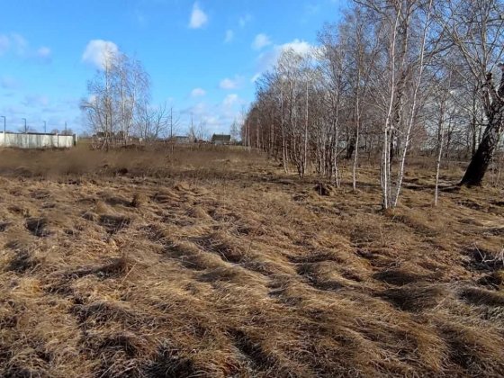 (8) Продам земельну ділянку в Гнівані 9890 Гнивань