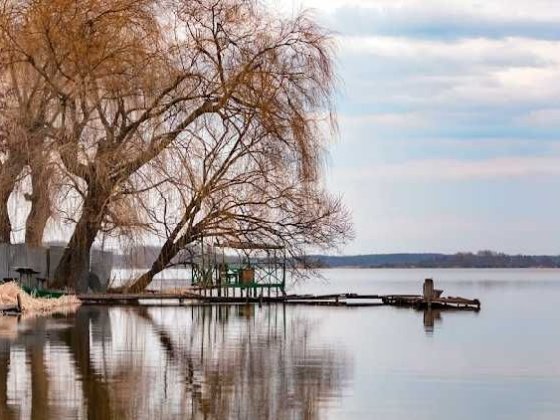 Продам участок в селе Петрик, Винницкая область, Собственник Петрик