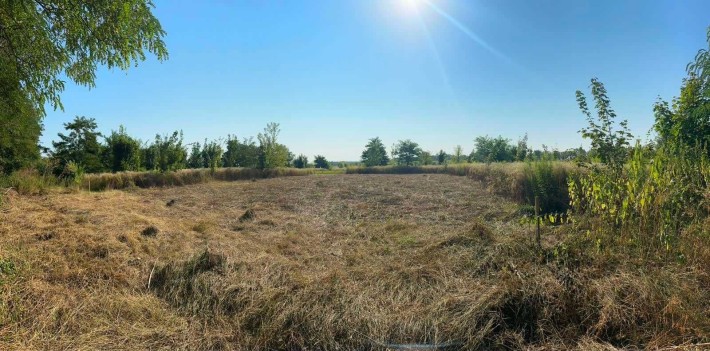 Продаж земельної ділянки під житлову забудову, 8 соток, с. Бохоники - фото 1