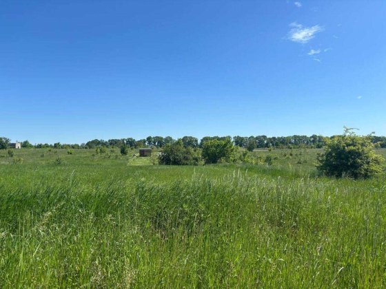 Продаж земельної ділянки в селі Бохоники Бохоники