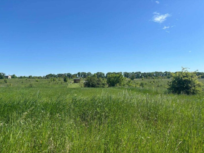 Продаж земельної ділянки в селі Бохоники - фото 1