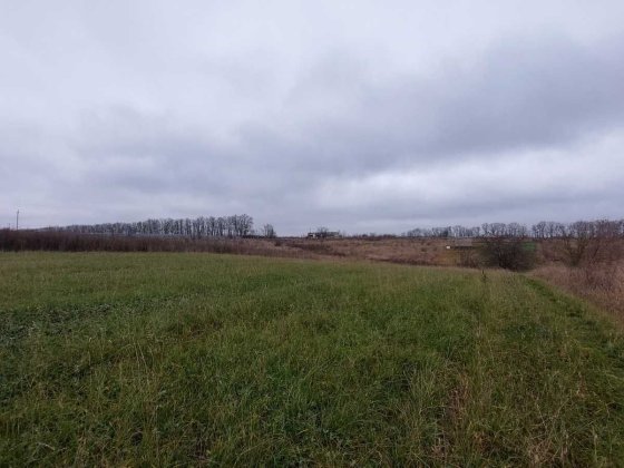 Продається ділянка 15 соток під житлову забудову в Бохониках Бохоники