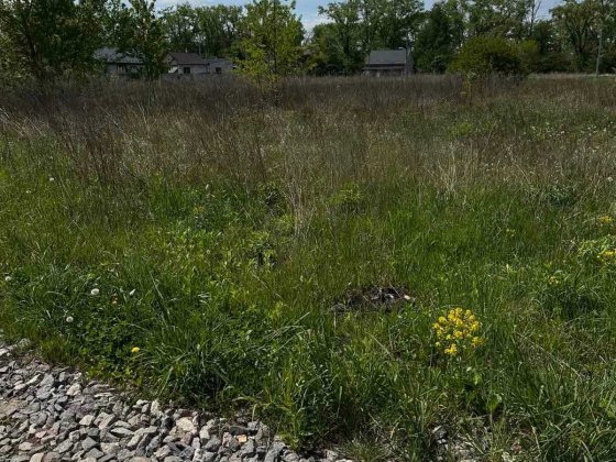 Продам земельну ділянку під забудову в Бохониках 5330 Бохоники