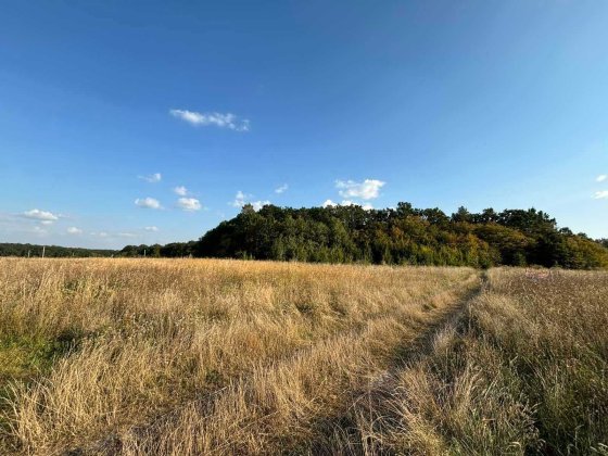 Продаж земельної ділянки в селі Бохоники Бохоники
