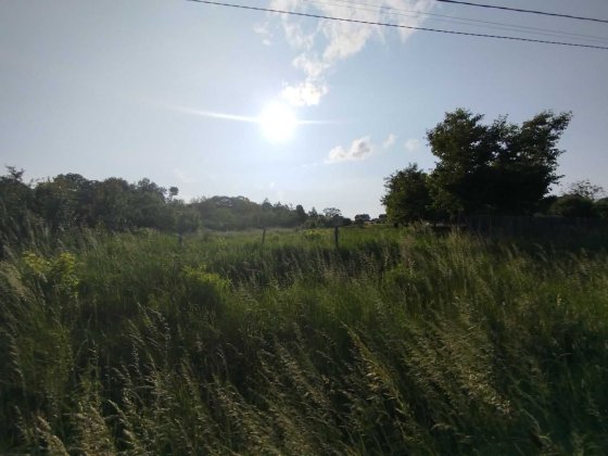 (8) Продам земельну ділянку в Бохониках 8614 Бохоники