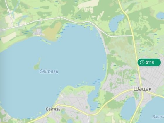 Земельна ділянка Світязь 45 сот. Свитязь