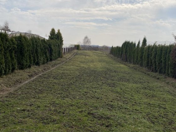 Продам земельну ділянку в с.Липини Рованці