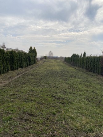 Продам земельну ділянку в с.Липини - фото 1