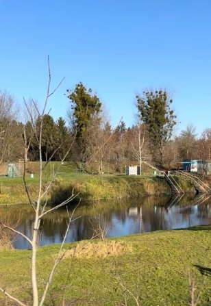 Земельні ділянки в с. Рованці , біля центрального парку , річка Стир - фото 1