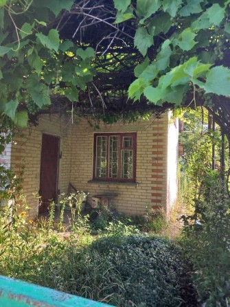 Струмівка | Ділянка біля лісу | 6 соток приватизовано (фактично більше) | Світло, вода - фото 1