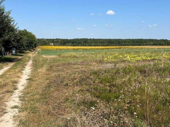 Продаж землі Гаразджа 13 га Гаразджа
