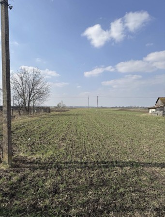 Продам ділянку в с. Вербаїв (біля Боратин), 0,25га - фото 1