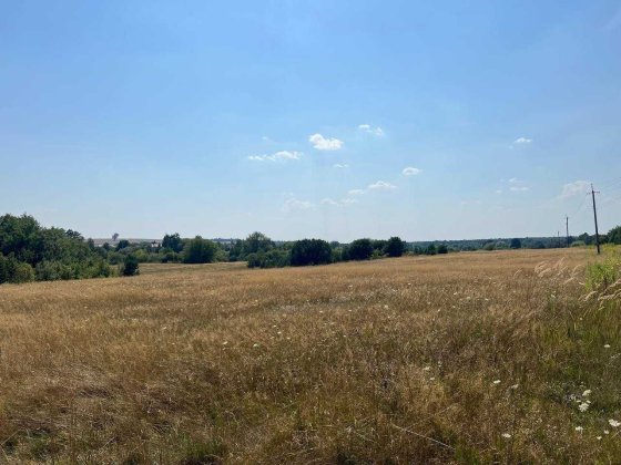 Гаразджа Продаж 50 га біля ставка Гаразджа