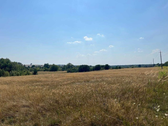 Гаразджа Продаж 50 га біля ставка - фото 1