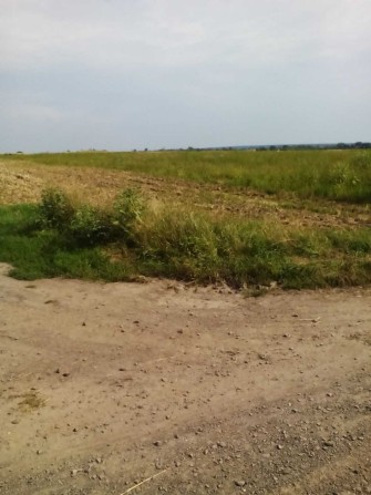 Земельна ділянка 1 гкт - фото 1