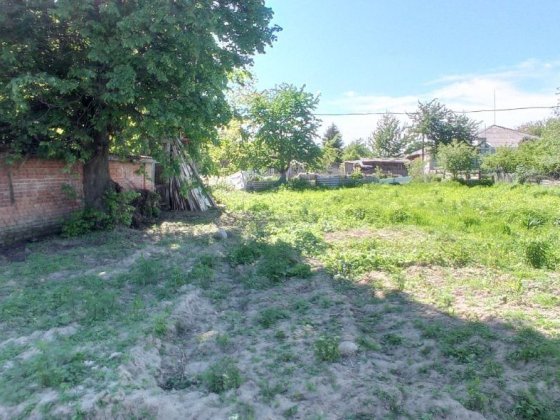 Продаж земельної ділянки Боголюби Боголюбы