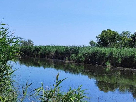 Продам земельну ділянку  у місці Дніпро, Самарський район. Слобожанське