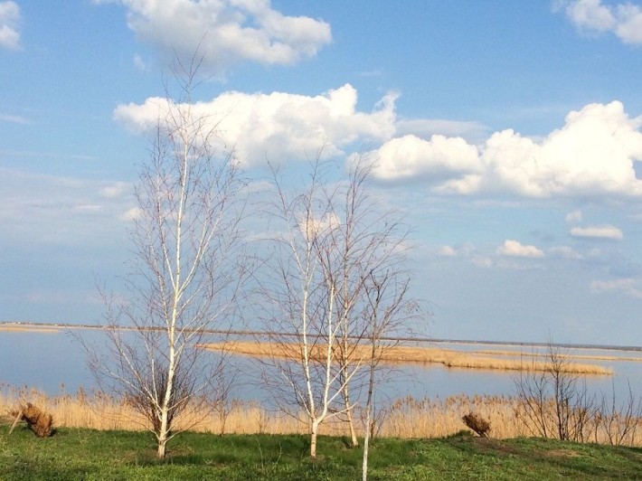 Видовой участок на берегу Самары в Подгороднем - фото 1